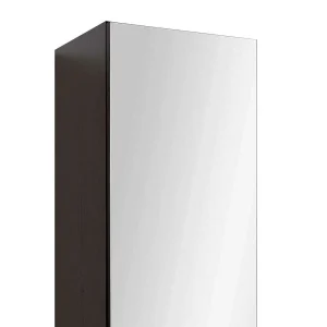 Verspiegelter Badschrank 2-türig Mladen Mit Korpus Dunkelgrau 9
