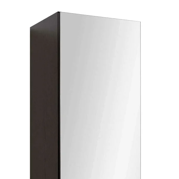 Verspiegelter Badschrank 2-türig Mladen Mit Korpus Dunkelgrau 4